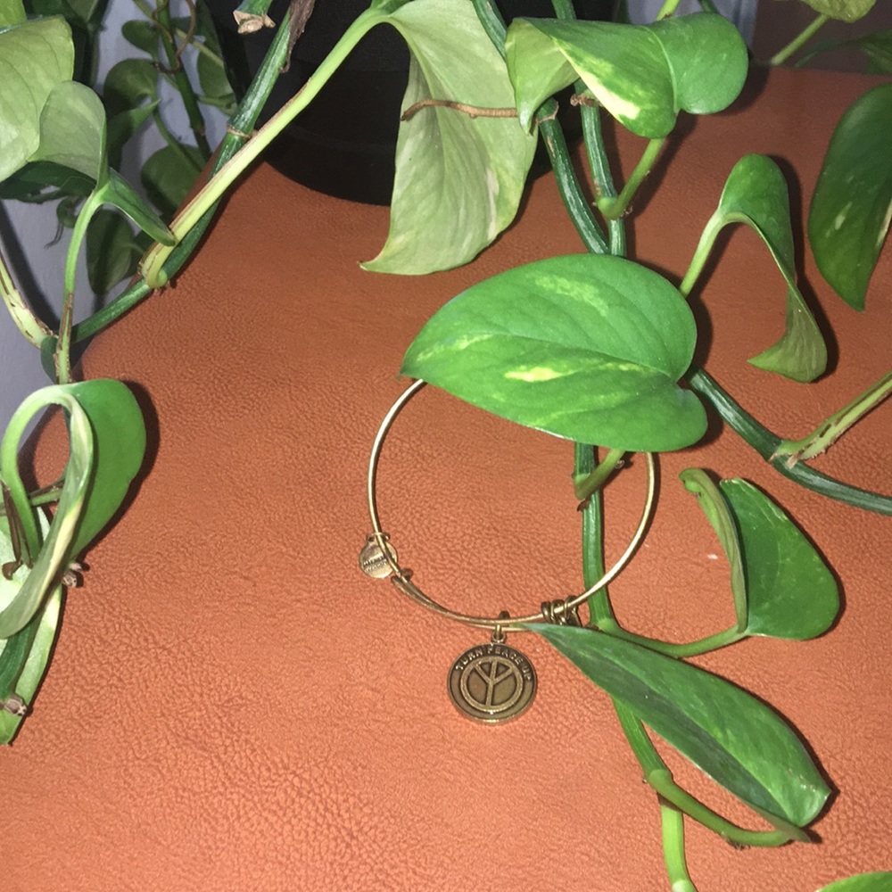 Alex & Ani Turn Peace Up bangle